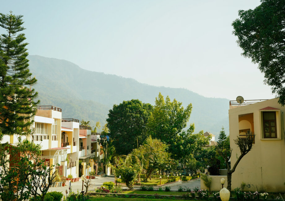 Community garden with trees and distant hillside